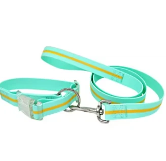 Reflective Waterproof Dog Collar & Leash Set best